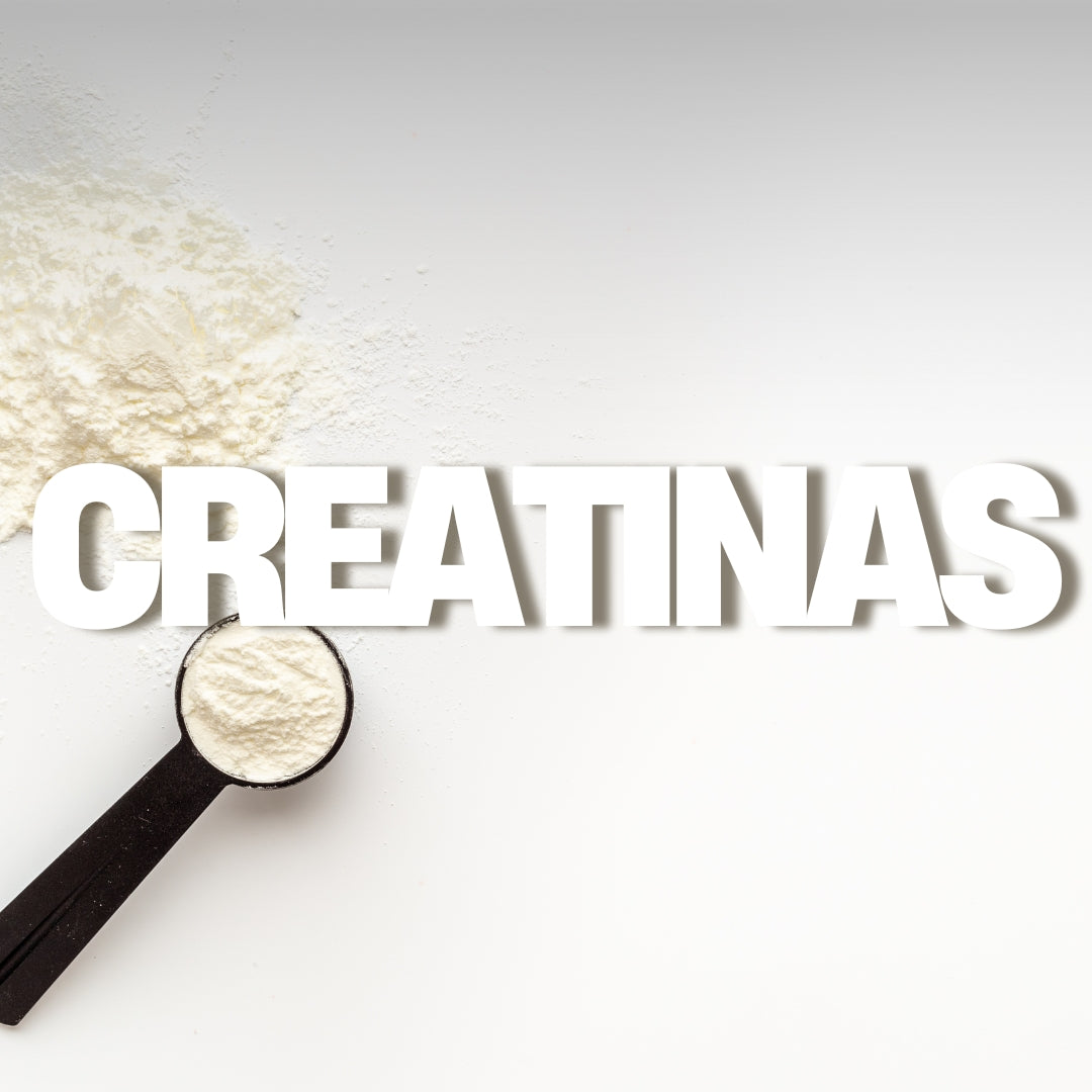 Creatina