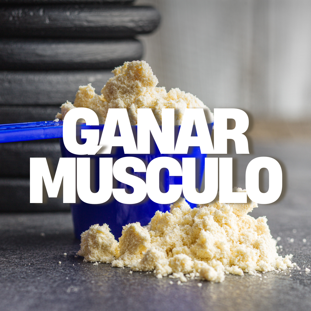 Ganar músculo